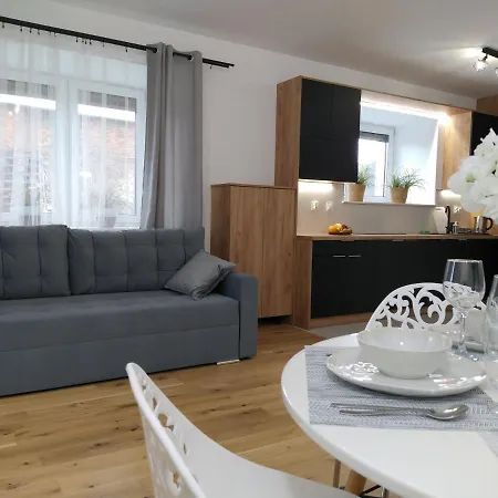 Nowy Rustykalny Apartament Z Tarasem - Willa Sowia Stronie Slaskie Exterior photo