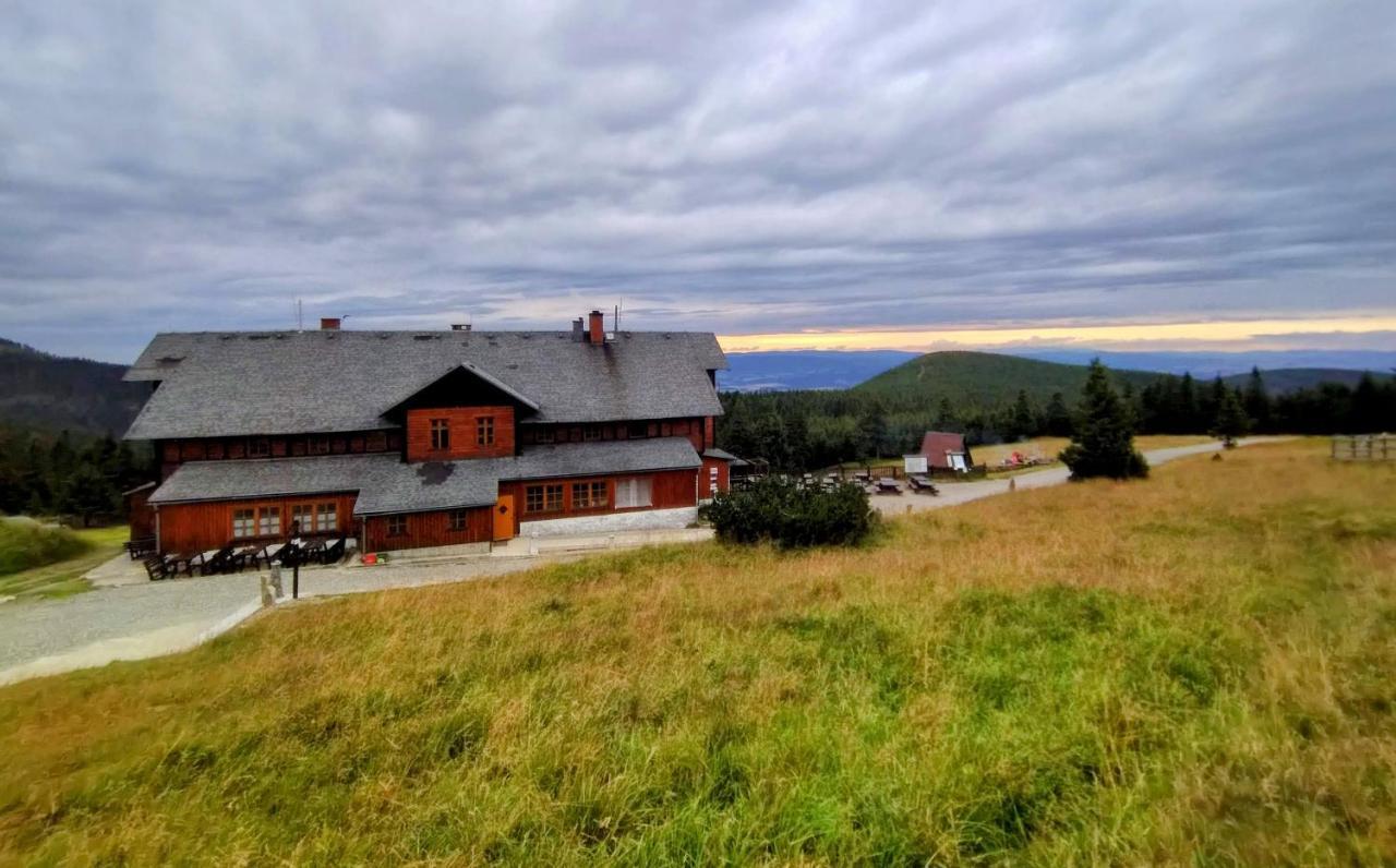 Nowy Rustykalny Z Tarasem - Sowia Apartment